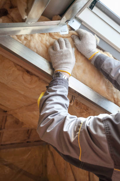 Insulation Inspection Services in Texarkana, AR