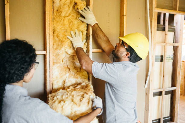 Best Insulation Removal  in Texkana, AR